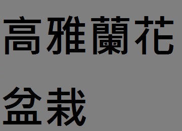 雲林花店送蘭花盆栽