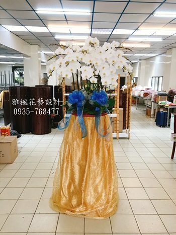 南投花店殯儀館附近蘭花批發店_彰化花店_雲林花店公祭蘭花盆栽