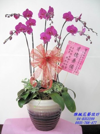 展覽成功蘭花盆栽南投縣竹山鎮花店，南投縣國姓鄉花店演出成功蘭花盆栽，南投縣水里鄉花店