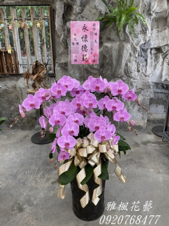 田尾花店送喪事蘭花盆栽